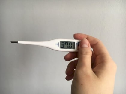 «Ранний приход гриппа и высокая заболеваемость»: свердловские медики дали прогноз на осень