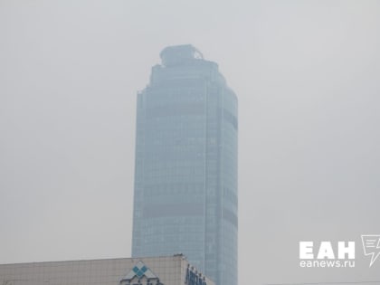 Грейпфруты и антикоагулянты: свердловские медики дали советы, как пережить смог