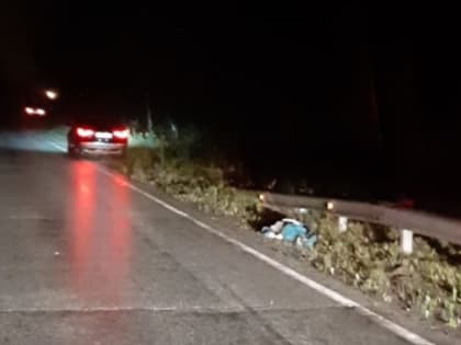 Шел пешком по трассе и попал под колеса. Под Первоуральском иномарка сбила 53-летнего мужчину