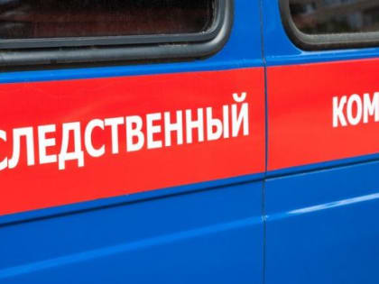 Стала известна предварительная причина смерти десятиклассника в Верхней Пышме