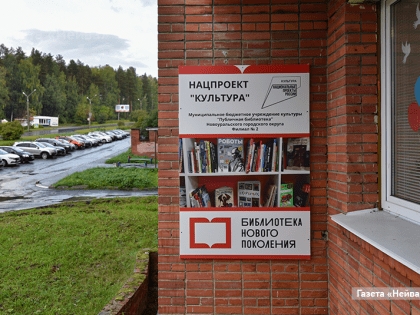 Что сделала модельная библиотека за год?