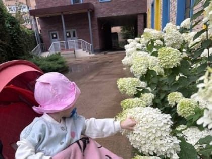 «Наши ресурсы исчерпаны. Мы больше не можем помочь вашему ребенку…»