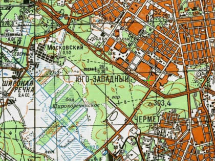 Возраст берёзовой рощи, за которую воюют екатеринбуржцы, не превышает 35 лет