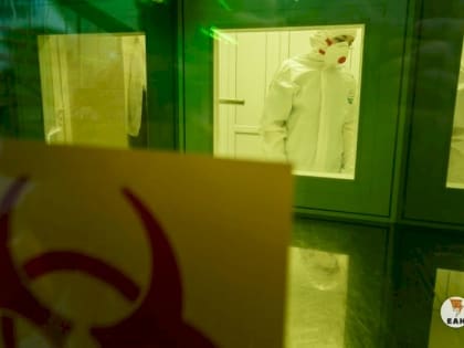 Лабораторию по изучению опасных вирусов построят в Екатеринбурге