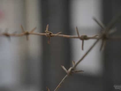 Мигранты в Свердловской области: новые условия содержания