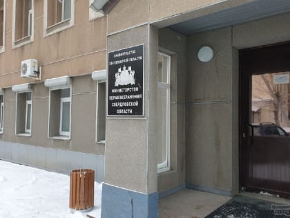 Минздрав прокомментировал состояние двоих истощённых детей в Екатеринбурге