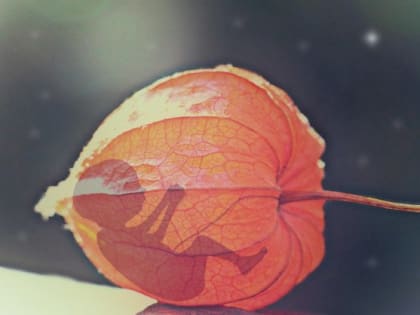 Челябинская активистка заявила о буме на подпольные аборты