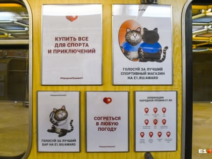 В метро Екатеринбурга появился необычный вагон с котиками