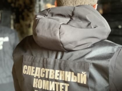 В Нижнем Тагиле ранее неоднократно судимый местный житель признан виновным в особо тяжком преступлении