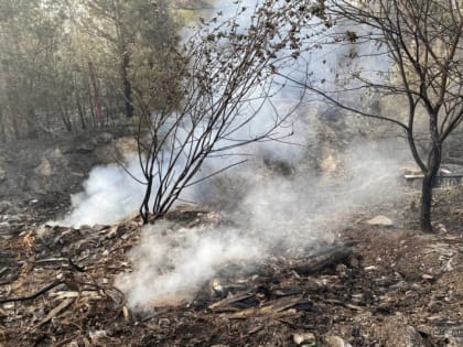 Особый противопожарный режим введут в Екатеринбурге с 8 апреля