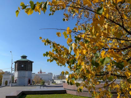 Заморозки будут чередоваться с летом в Свердловской области