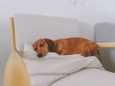 an image of something