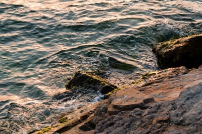 an image of something