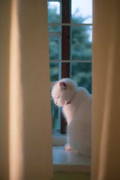 an image of something