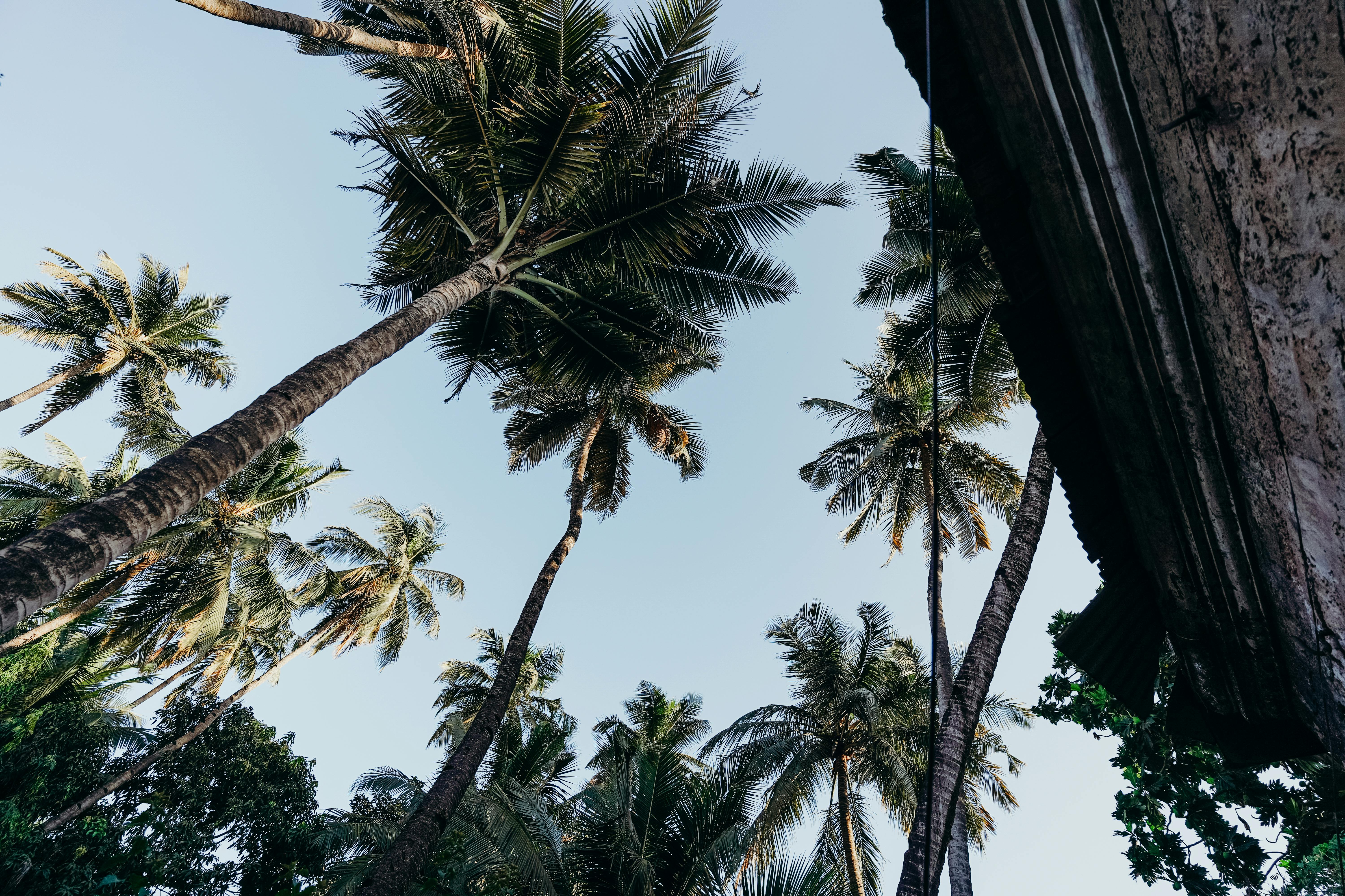 Goa Beaches & Nightlife - 2