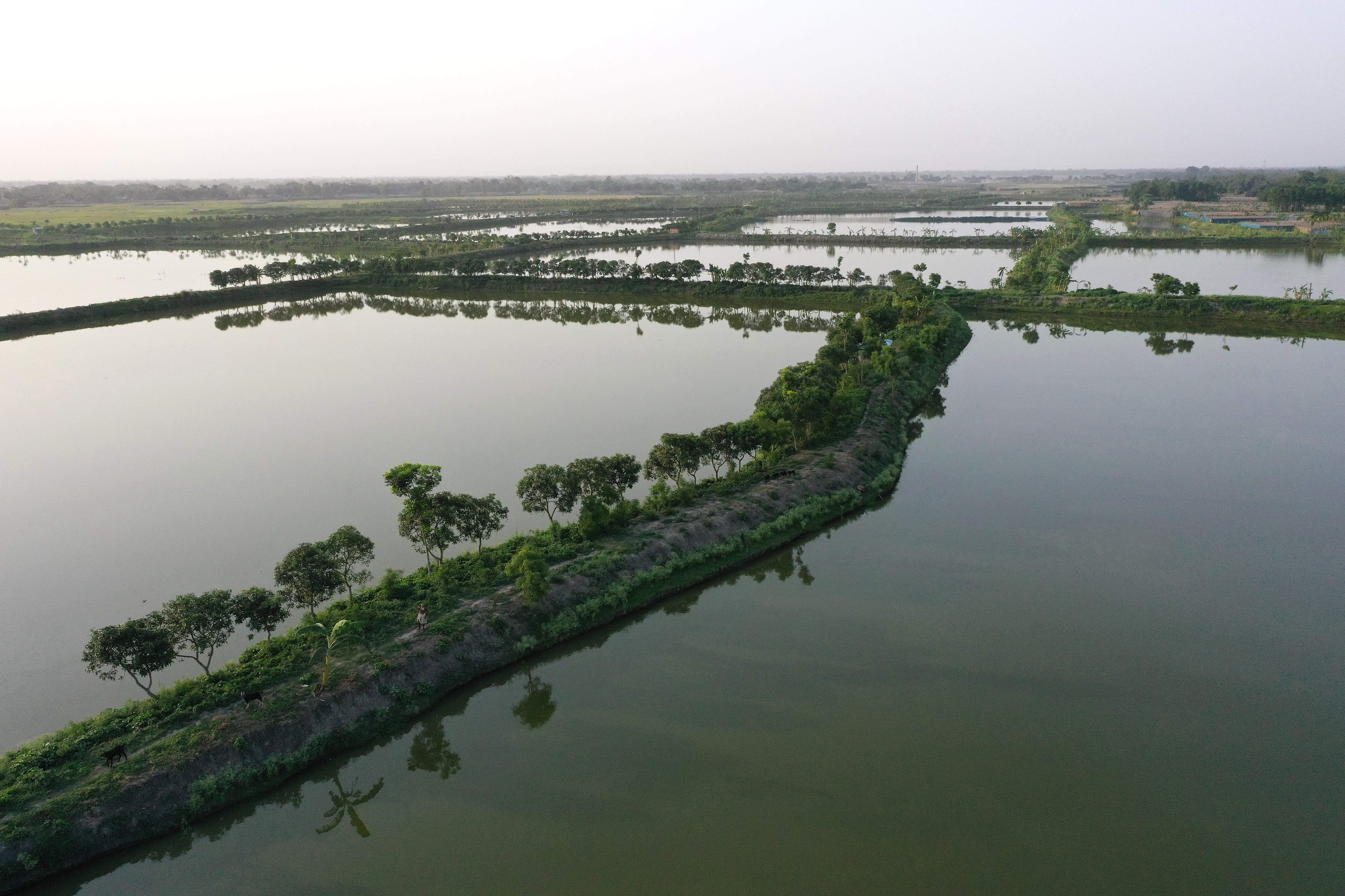 Aerial view of aquaculture ponds
