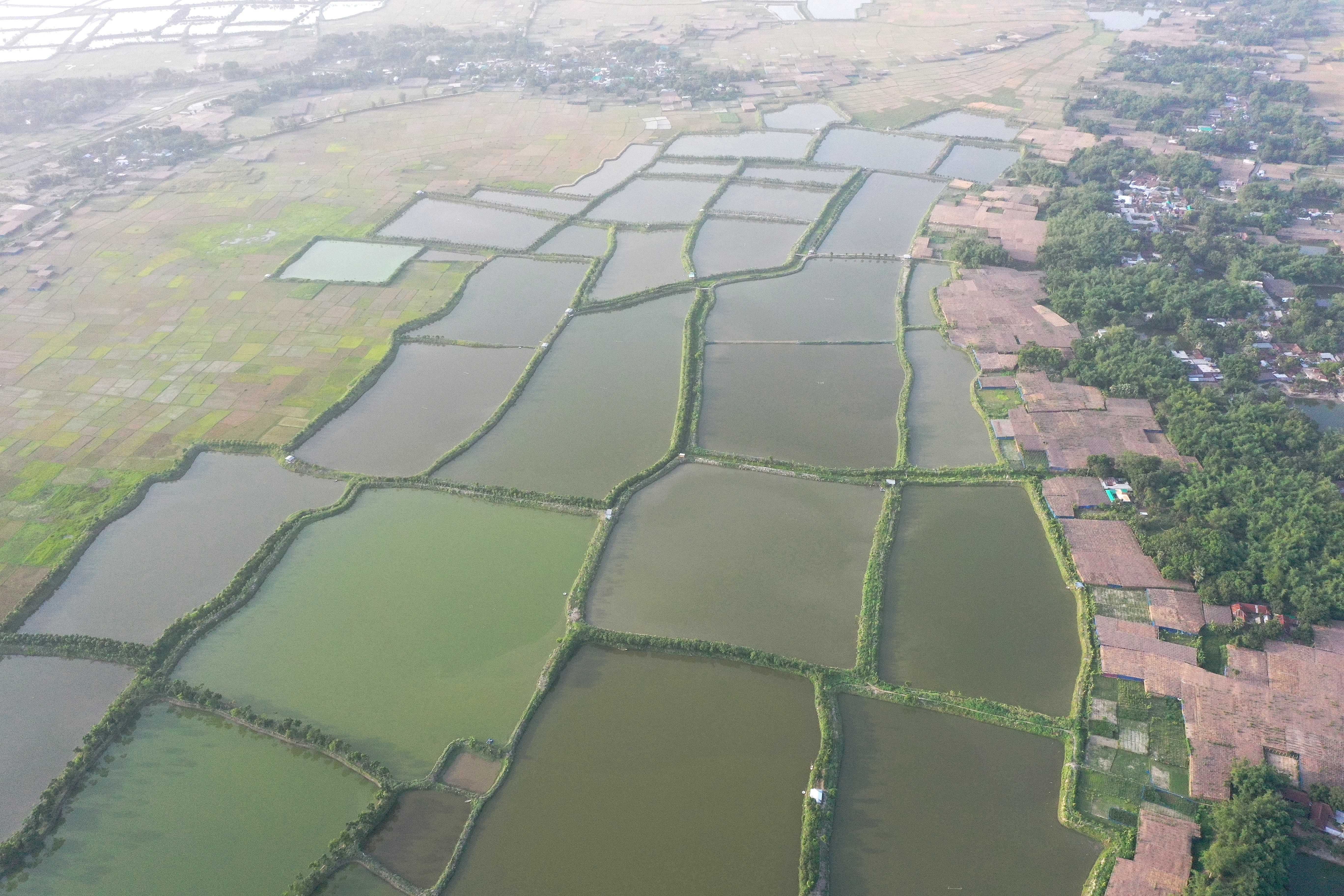 Small Pond