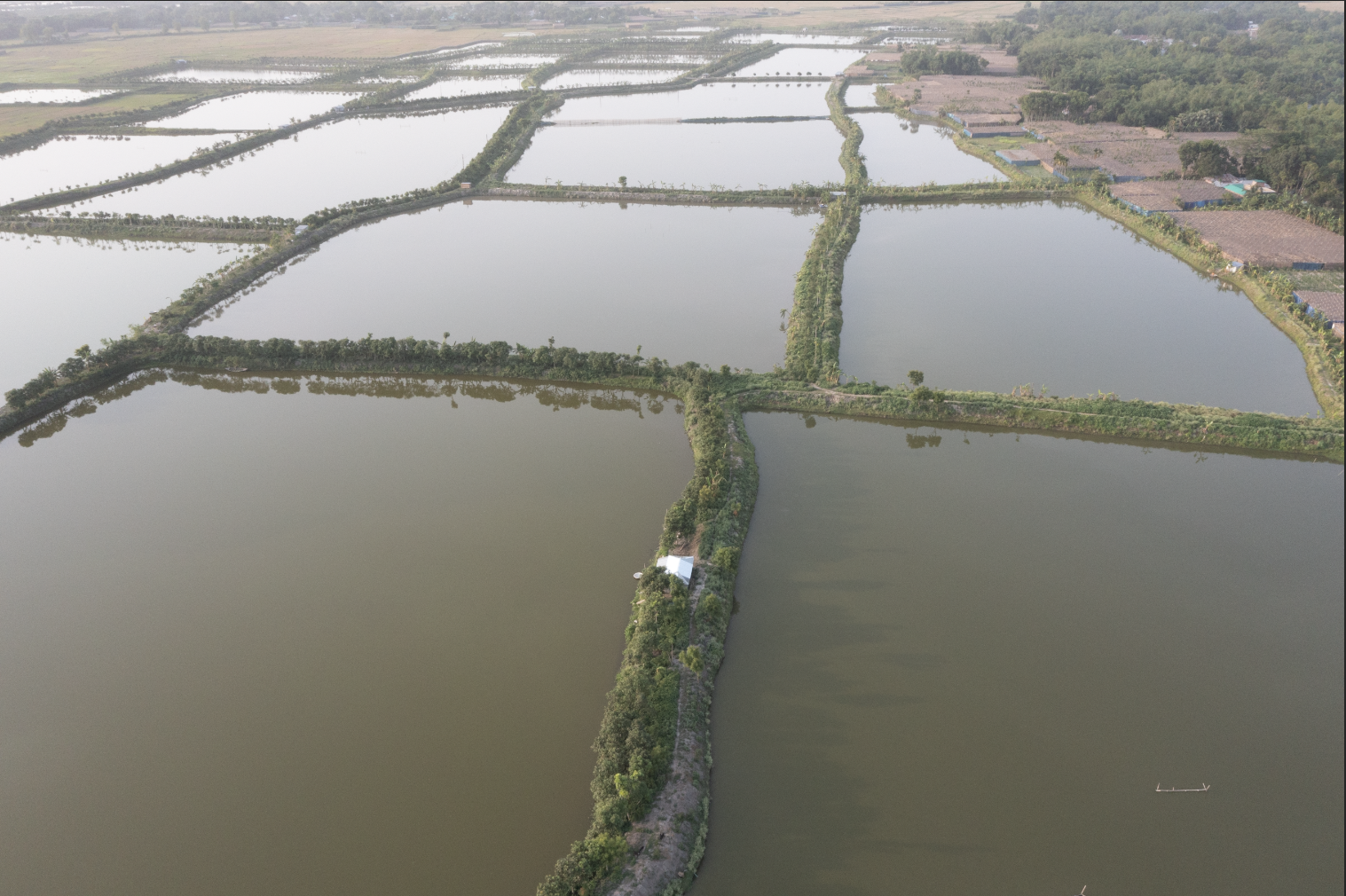 Large Pond
