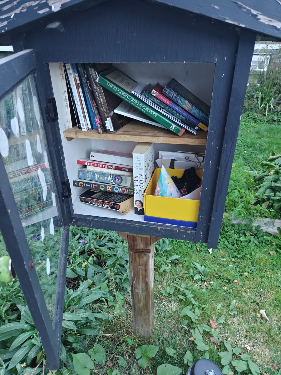 Shelfie from Sep 16, 2026