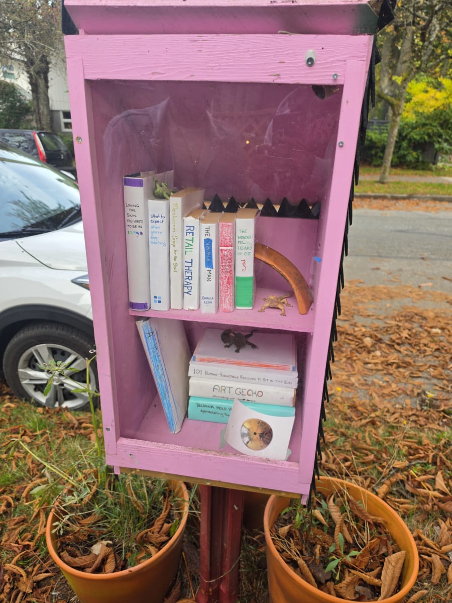 Shelfie from Oct 6, 2026