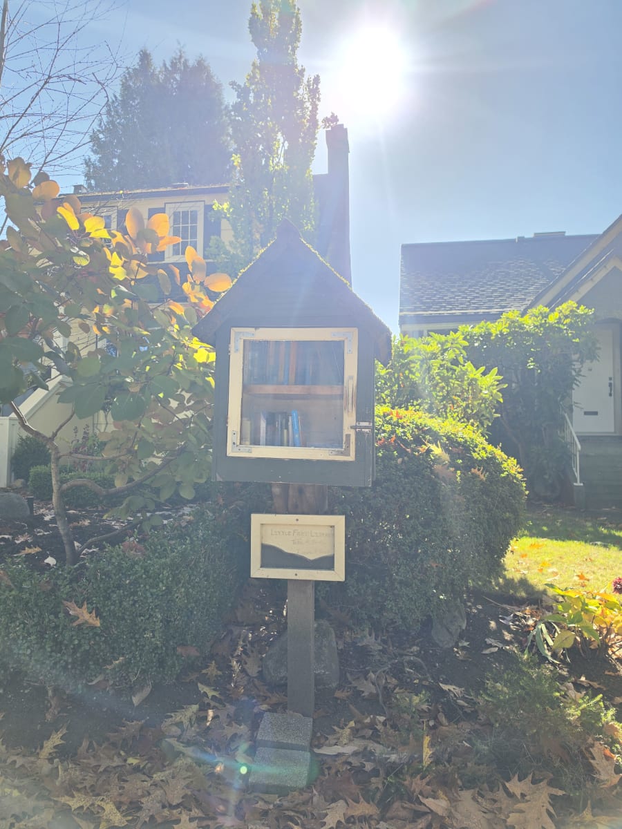 Shelfie from Oct 9, 2026