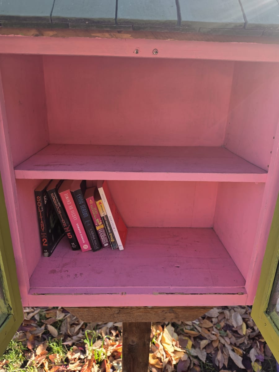 Shelfie from Oct 11, 2026