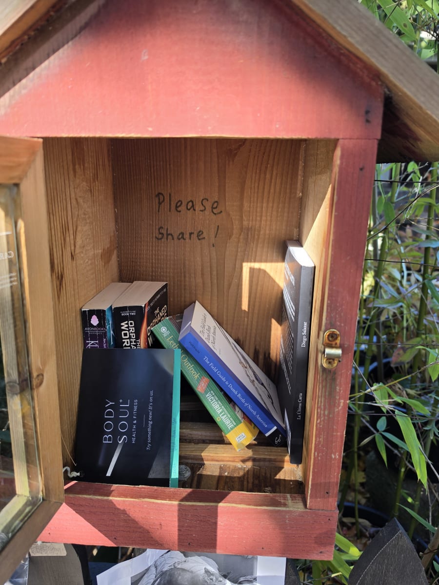 Shelfie from Oct 11, 2026