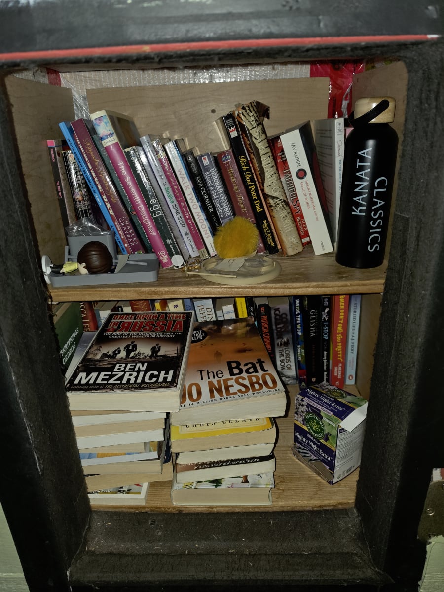 Shelfie from Oct 14, 2026