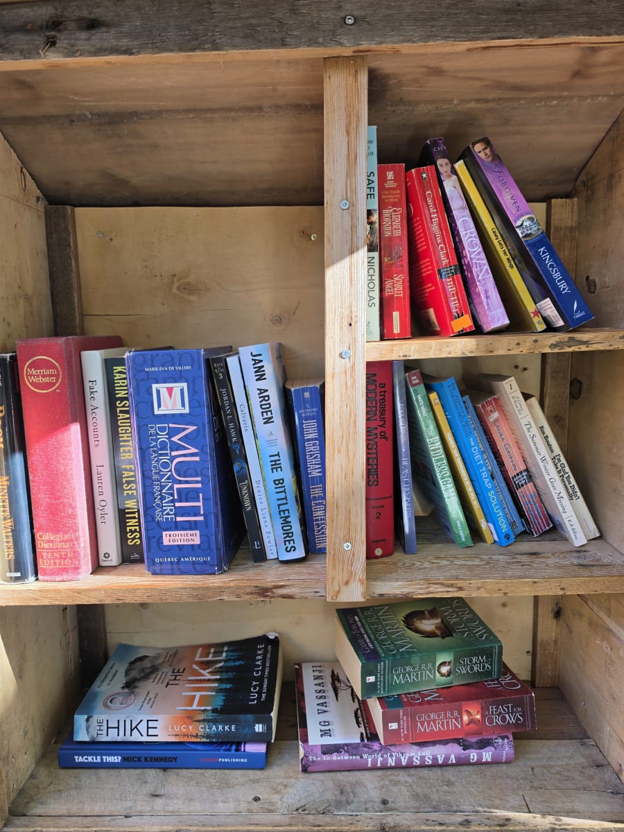 Shelfie from Oct 15, 2026
