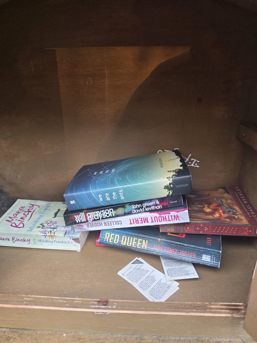 Shelfie from Oct 16, 2026