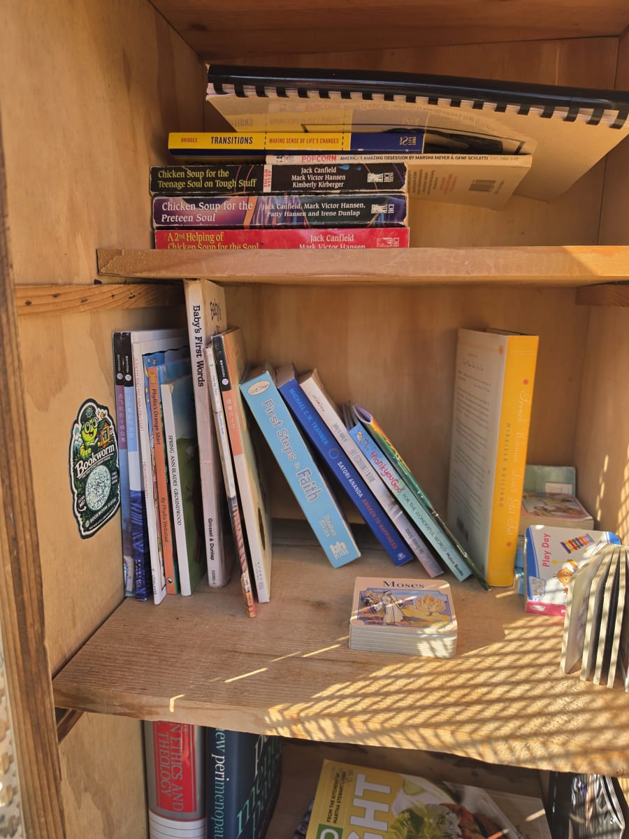 Shelfie from Oct 17, 2026