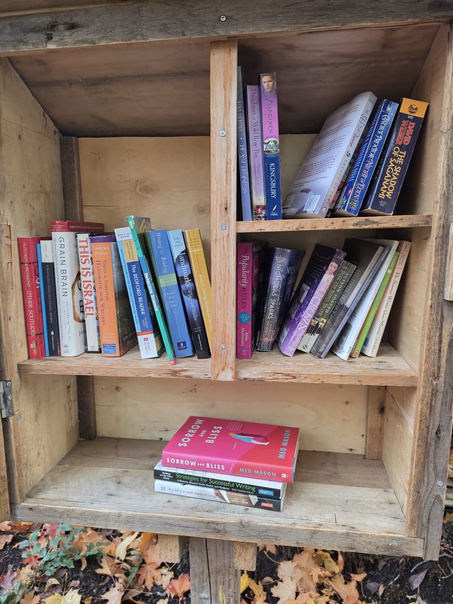 Shelfie from Oct 26, 2026