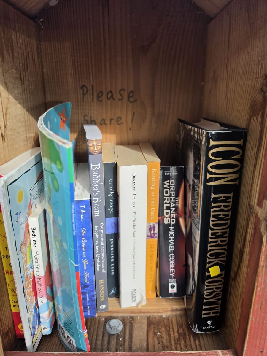 Shelfie from Oct 26, 2026