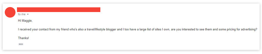 Fake Travel Bloggers