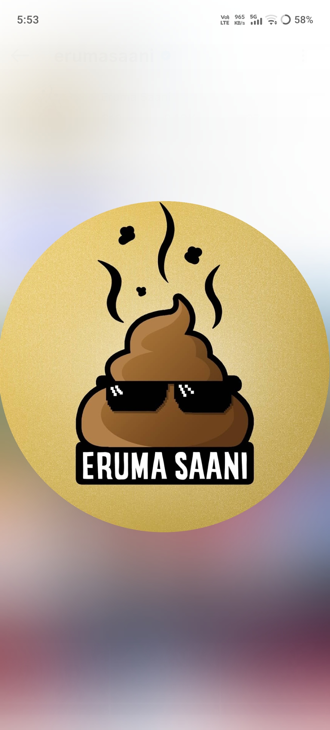 Eruma Saani