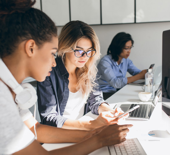 Professional Web Development India