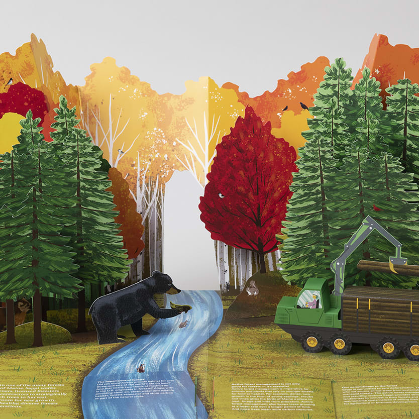 Sappi Spectro Pop-up Book