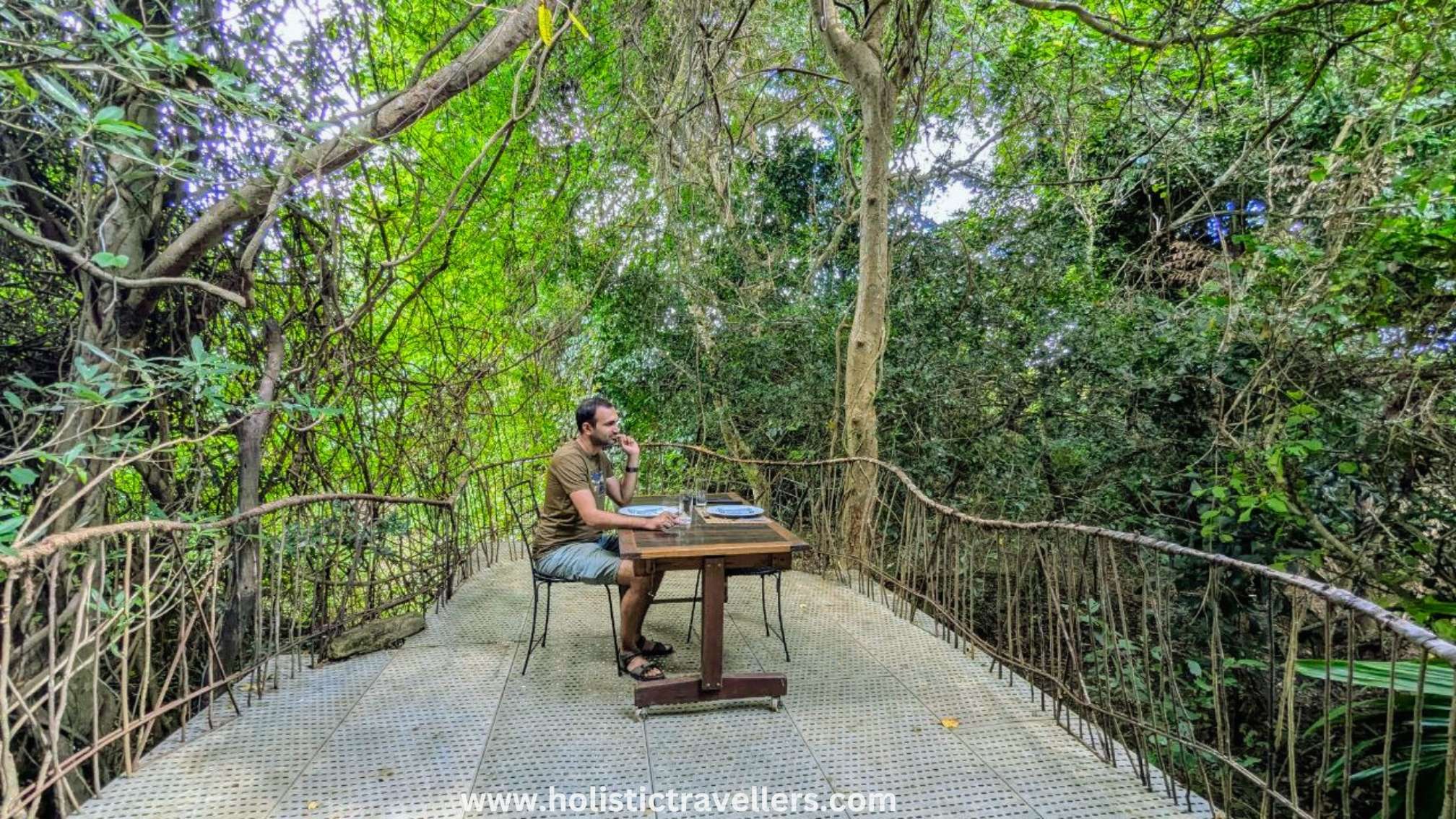 Breakfast table set in the midst of nature