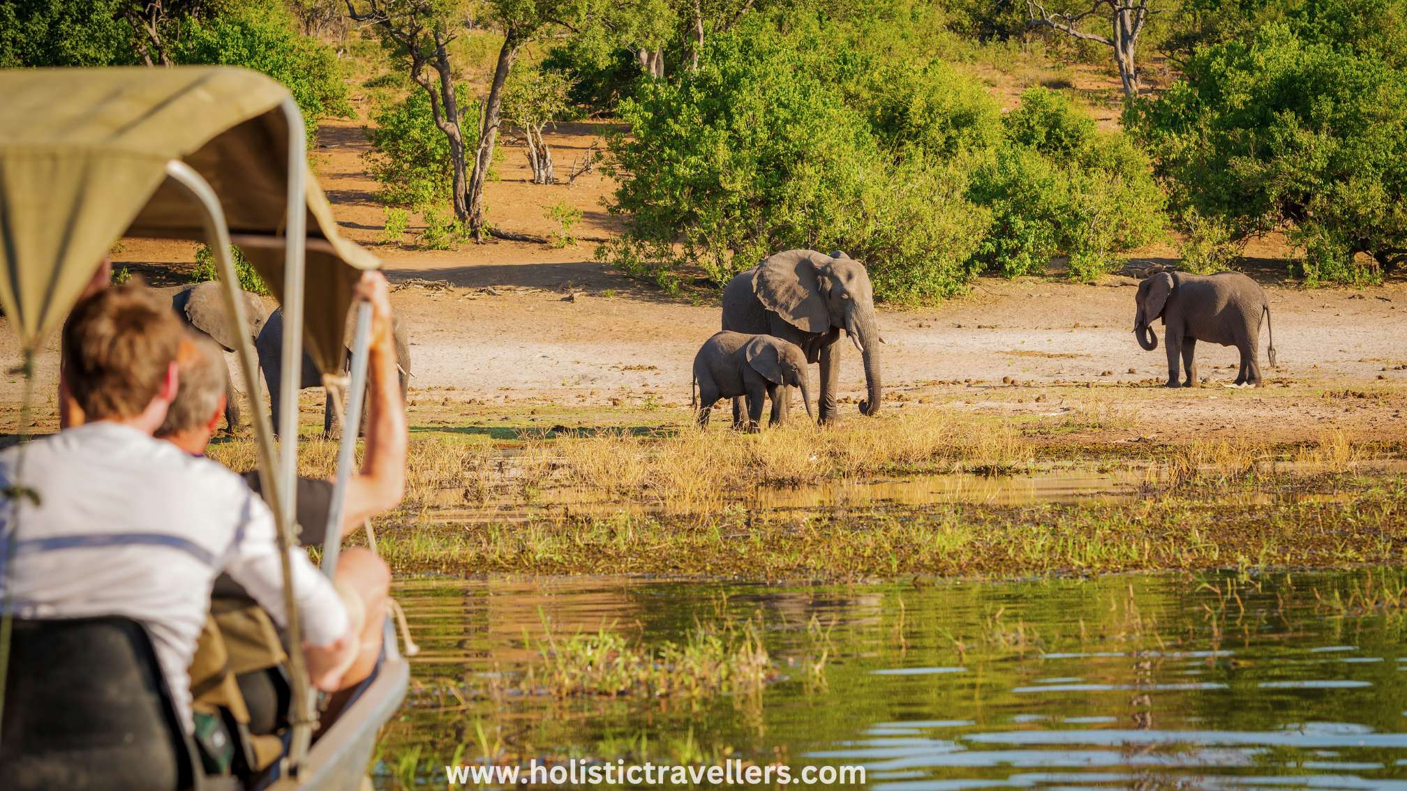 Safari at Sri Lanka's National Parks (stock image)