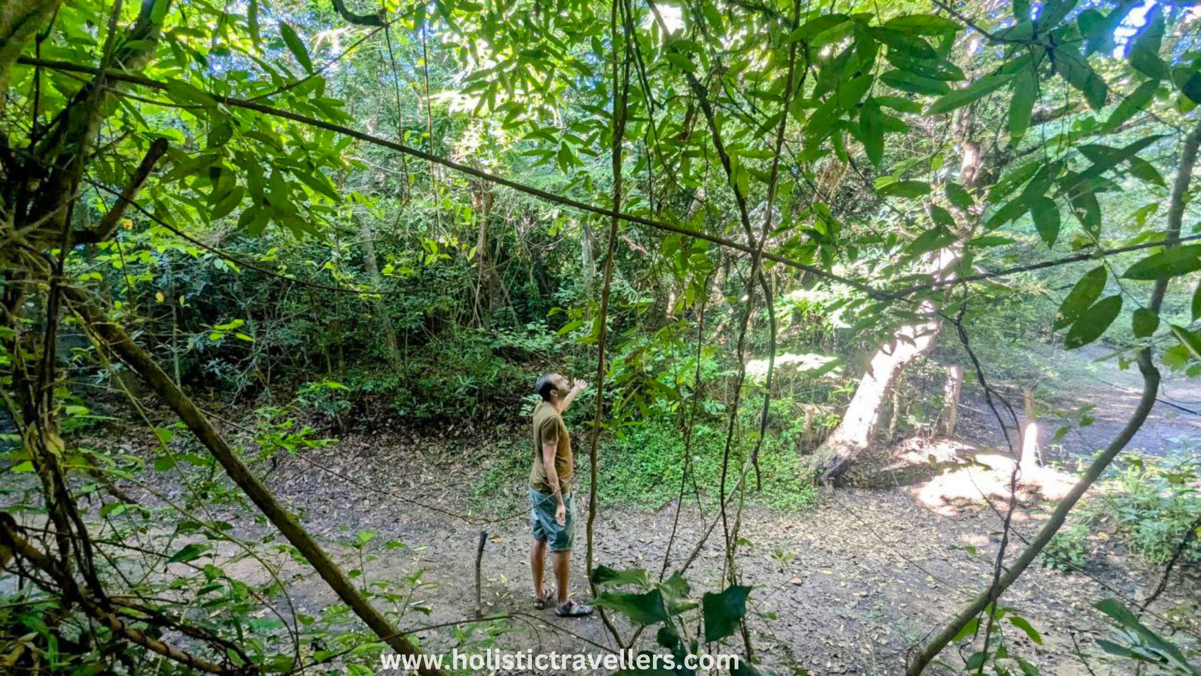 Morning stroll along the forests of Galkadawala