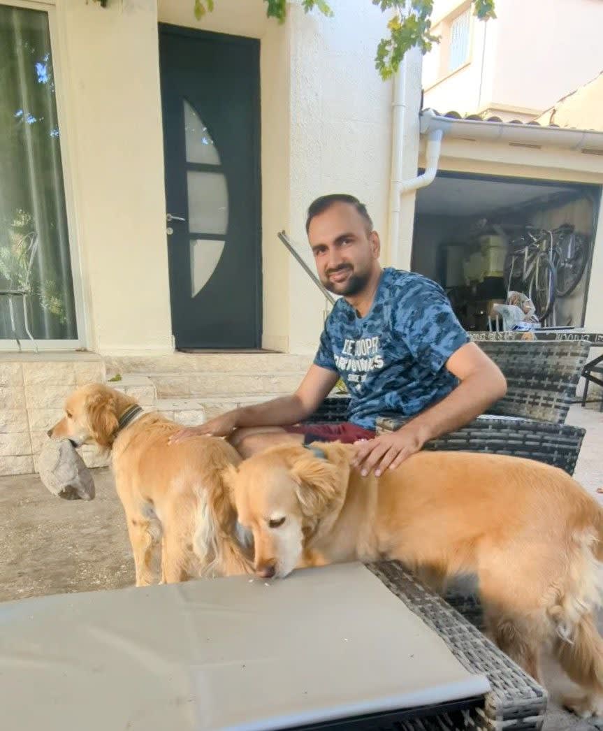 Playing with dogs