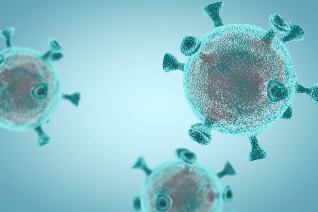 COVID-19 Coronavirus cell images