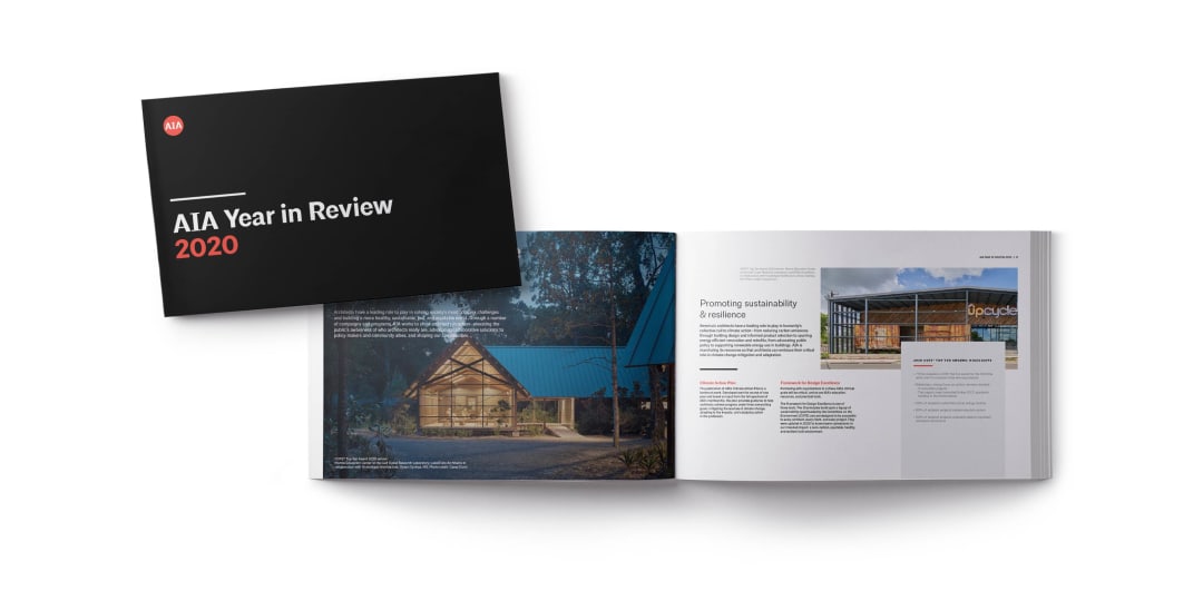 2020 Annual Report Booklet Snapshot