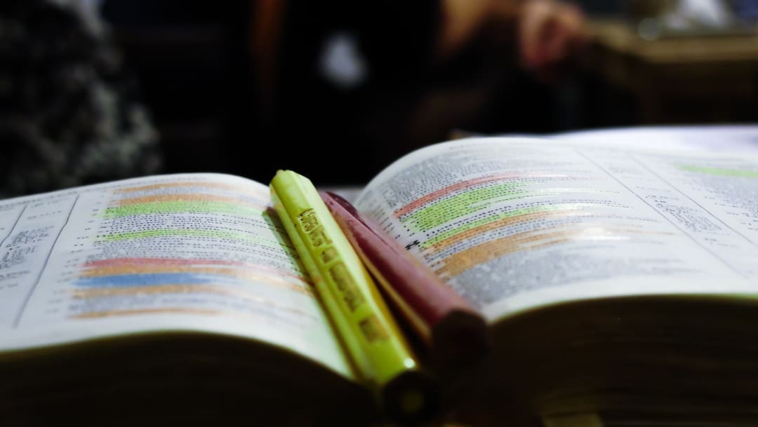 writing-hand-book-reading-green-color-22504-pxhere.com