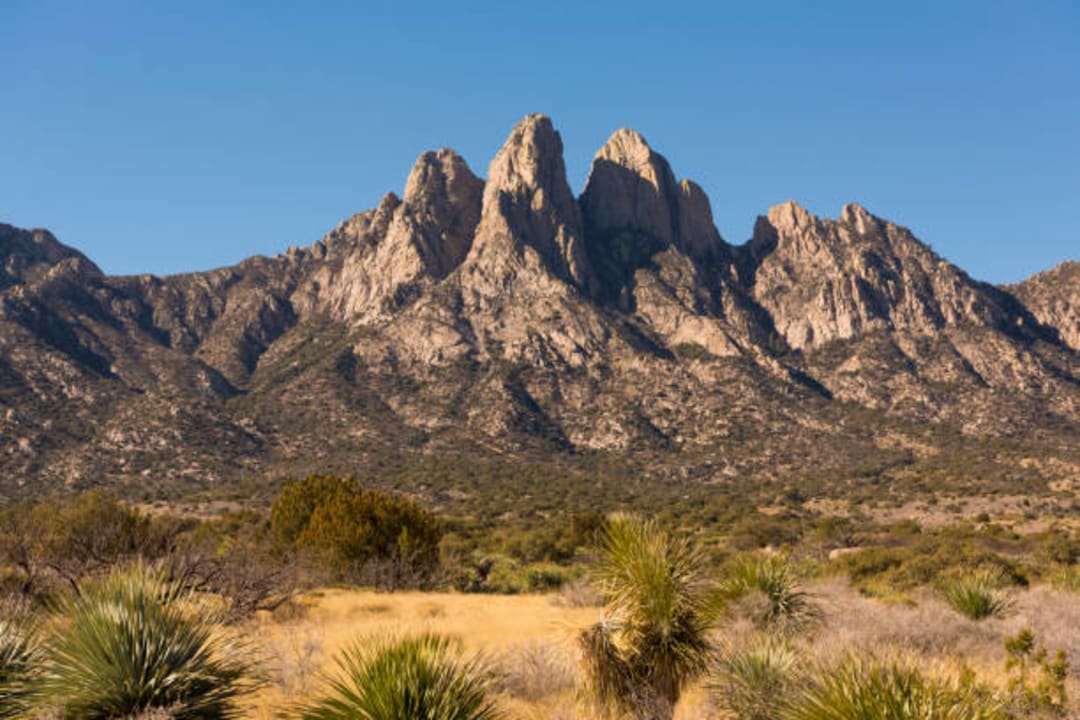 OrganMountains