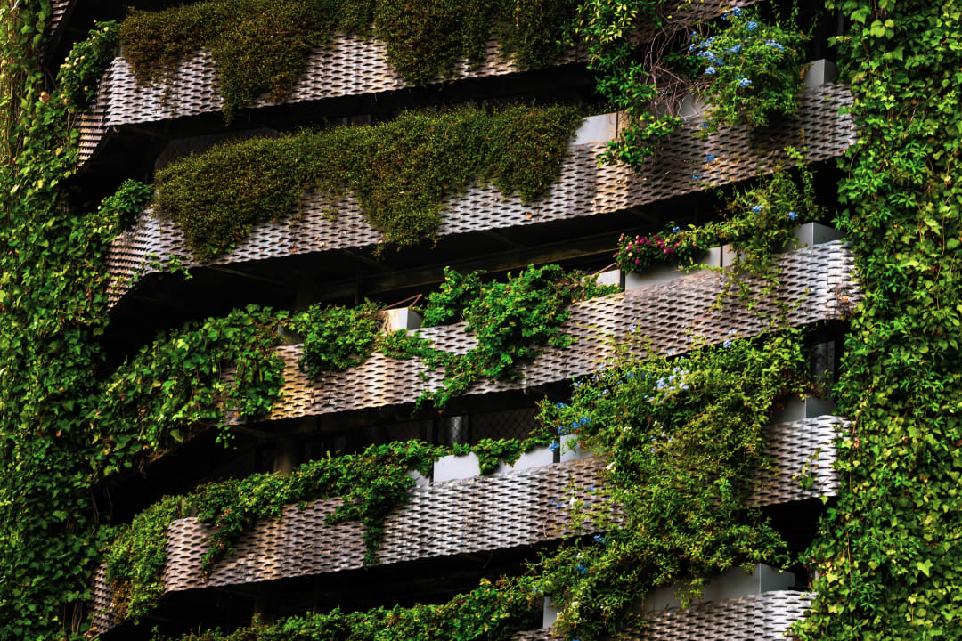 Sustainable building with vertical garden protecting from the sun and controlling inside temperature.
