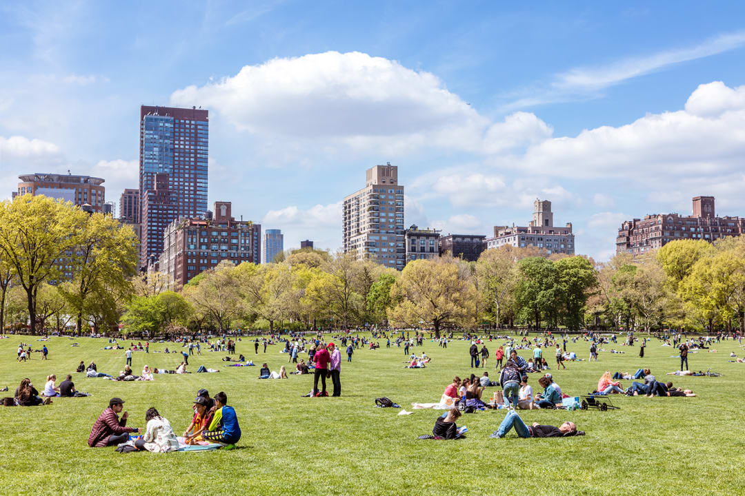 community space in park in a city