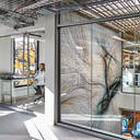 Pagliuca Harvard Life Lab - Interior View