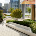 Therapy garden