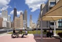 green roof and roof deck area_ACCESSLIVING_LCMARCHITECTS